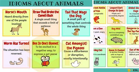 Animal Idioms: 165 Useful Animal Idioms from A-Z • 7ESL