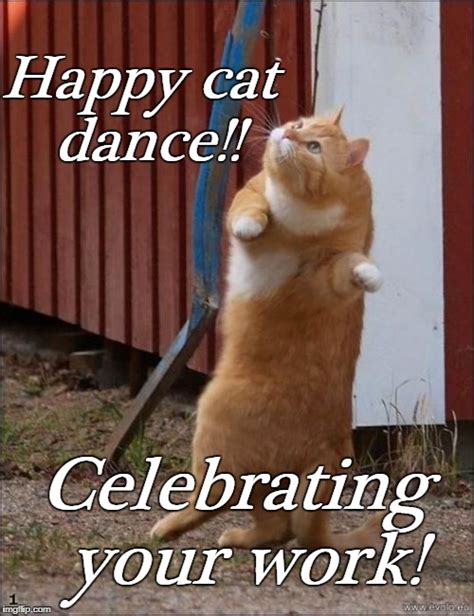 Happy Cat Dance