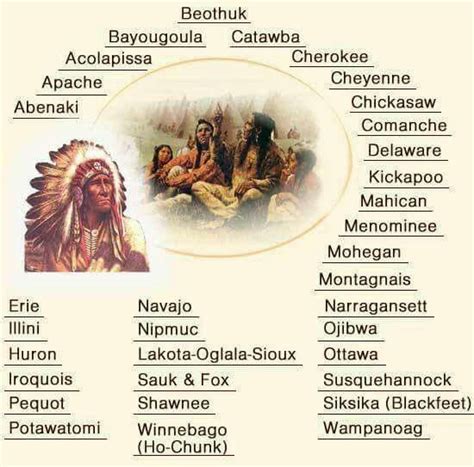 American Tribes | Native american history, Native american nations ...