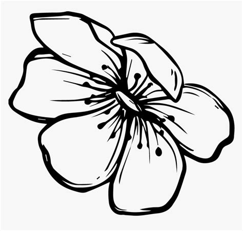 Flower Doodle Png - Clipart Black And White Drawings, Transparent Png ...