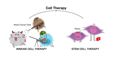 CELLPEDIA | Cell Therapy