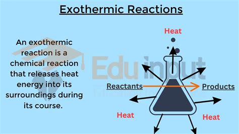 Exothermic Reactions-Characteristics, Identification, and Examples