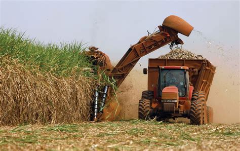 Brazil Agro-Business Group, Volta