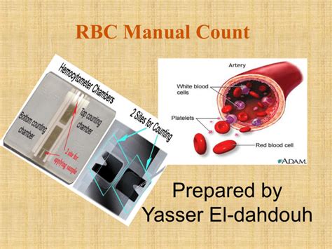 RBC Manual Count