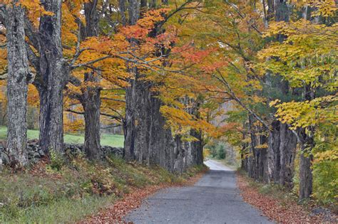 Sugar Hill New Hampshire - Best Fall Towns