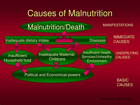 PPT - Malnutrition PowerPoint Presentation - ID:2000863