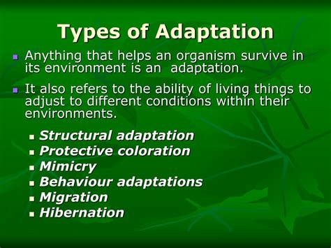 PPT - Animal Adaptations PowerPoint Presentation, free download - ID ...