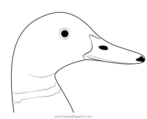 Mallard Duck Head Coloring Page for Kids - Free Ducks Printable ...