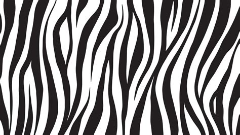 Background of Zebra Stripes 4684761 Vector Art at Vecteezy