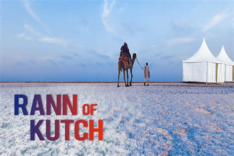 'Rann of Kutch' beauty of India's enormous white desert - The Live ...