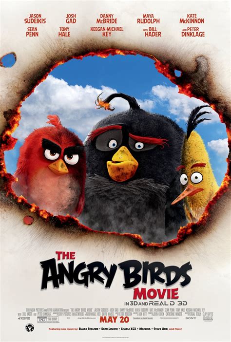 The Angry Birds Movie DVD Release Date August 16, 2016