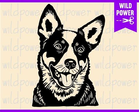 Australian Cattle Dog Svg Dog Svg Files for Cricutaustralian - Etsy ...