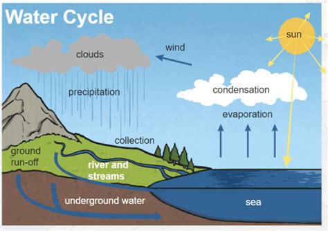 Condensation Water Cycle Diagram