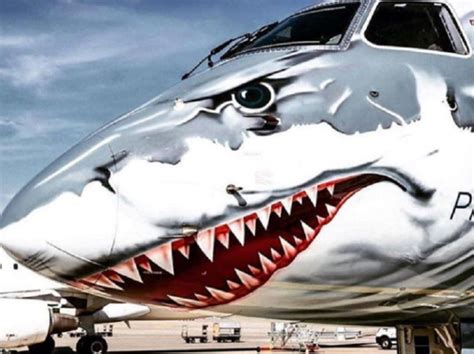 Shark nose art | Nose art, Aircraft design, Aircraft painting