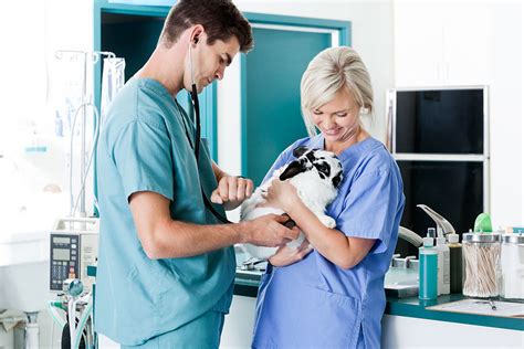 Veterinary Technician Requirements – CollegeLearners.com