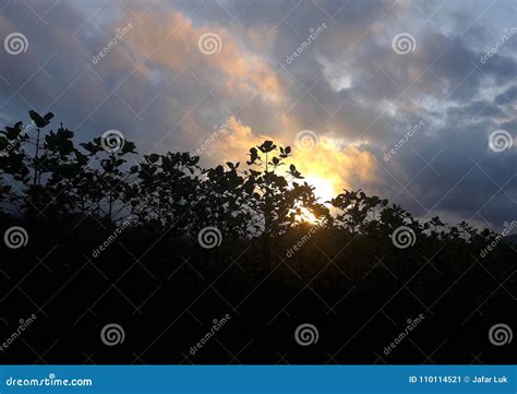 Beautiful Sunset with Trees in the Mountains Stock Image - Image of ...