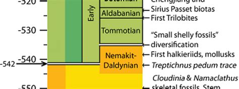 Cambrian Time Period Timeline