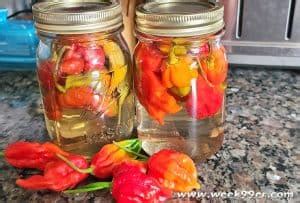 How to Pickle Scorpion Peppers