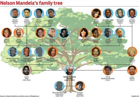 Family tree | Family tree, Nelson mandela family, Tree