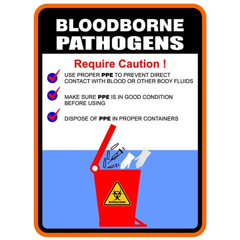 Blood Borne Pathogen Training: Everything You Need to Know