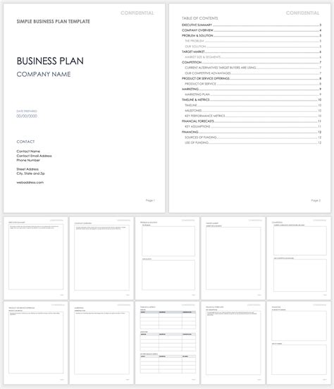 High Level Business Plan Template – PARAHYENA