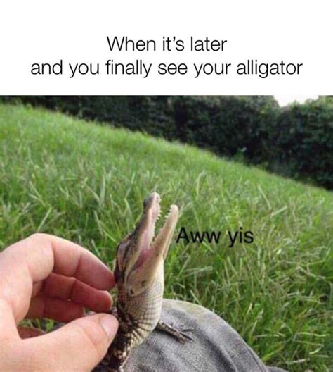 See ya later alligator - Meme by YourOtherLeft :) Memedroid