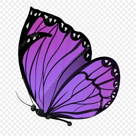 Morado Mariposa Insecto Hermosa PNG ,dibujos Imágenes Prediseñadas De ...