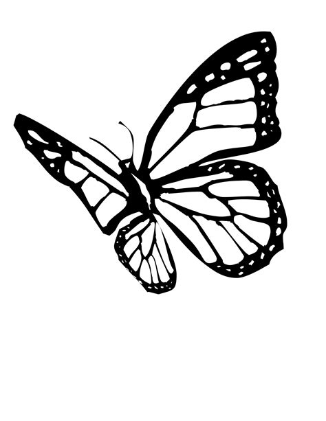 Free Monarch Butterfly Drawing, Download Free Monarch Butterfly Drawing ...