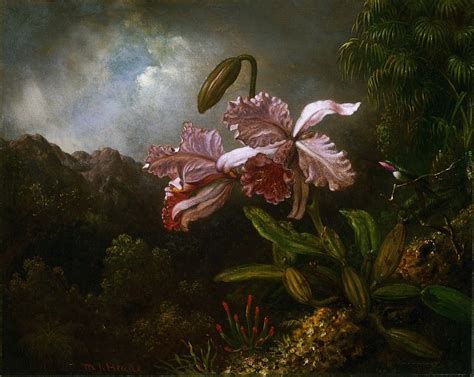 Martin Johnson Heade, American, 1819-1904 -- Orchids in a Jungle ...