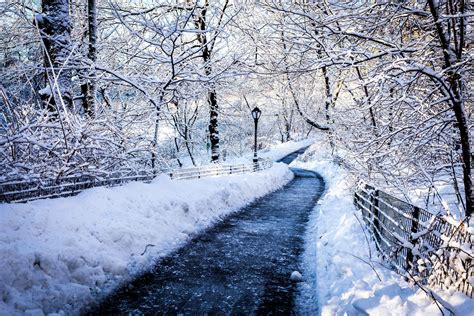 Snowy path | Winter scenery, Winter blues, Snowy