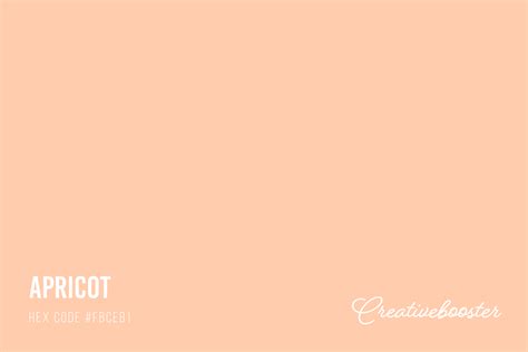 All About Color Apricot (Color Codes, Meaning and Pairings ...