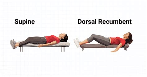 What is the Dorsal Recumbent Position? (2023)