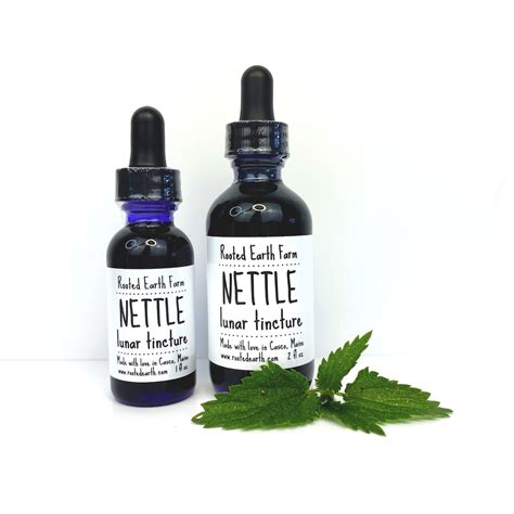 Nettle Tincture, Organic Nettle Extract, Herbal Nutrition, Organic ...