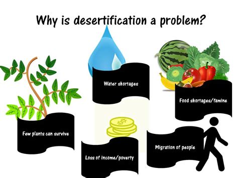 Desertification Lesson | Teaching Resources