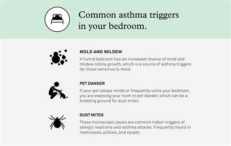 Asthma Attack Triggers