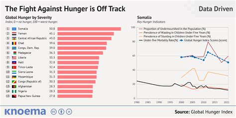 World Hunger Statistics Charts