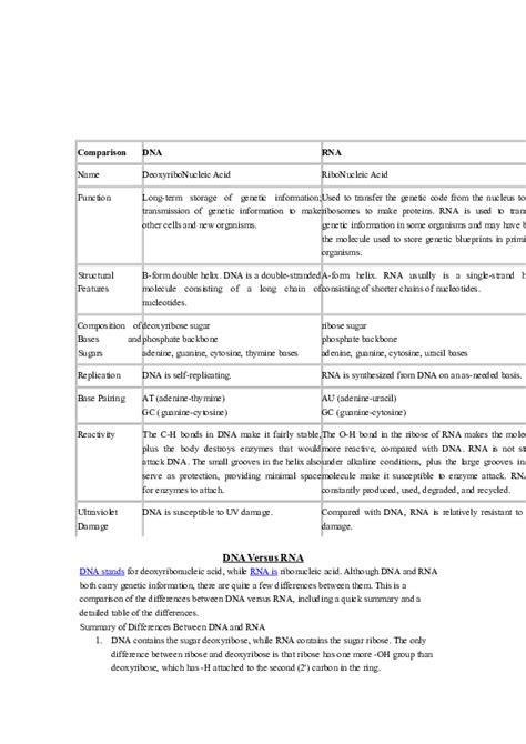 (DOC) DNA & RNA FUNCTION & COMPARISON | ROMA PANDEY - Academia.edu