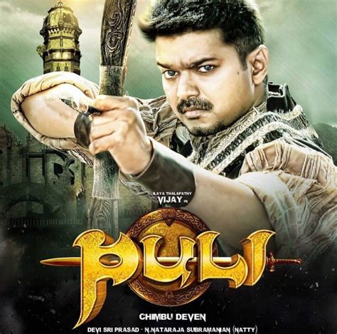 Puli