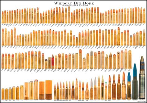 Cartridges Bullets Comparison Chart Print | eBay