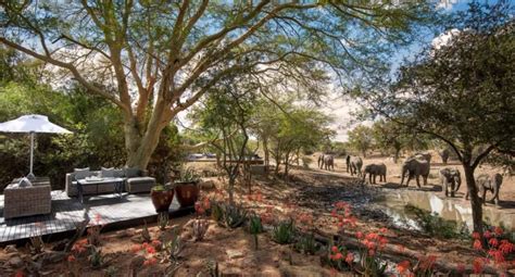 5 Family Safari Lodges in South Africa for the ultimate adventure