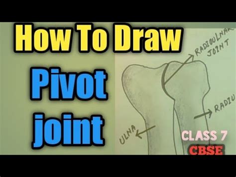 Pivot Joint Diagram