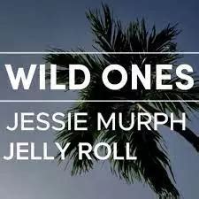 دانلود آهنگ Wild Ones از Jelly Roll and Jessie Murph