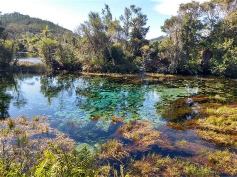 Freshwater lake in New Zealand (4032 x 3024) [OC] Taken by me : r/EarthPorn