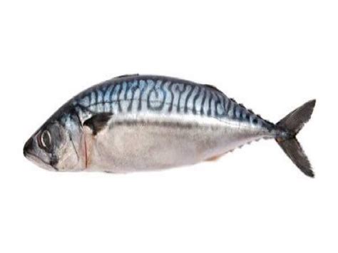 Mackerel Nutrition Facts - Eat This Much