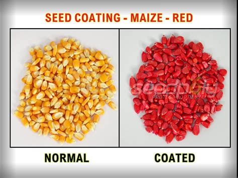 SEEDPOLY | Seed Coating Polymer | Seed Coating Polymer Manufacturer and ...