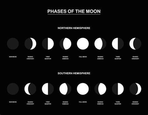 What are Moon Phases? | Moon phases, Moon phase chart, Moon orbit