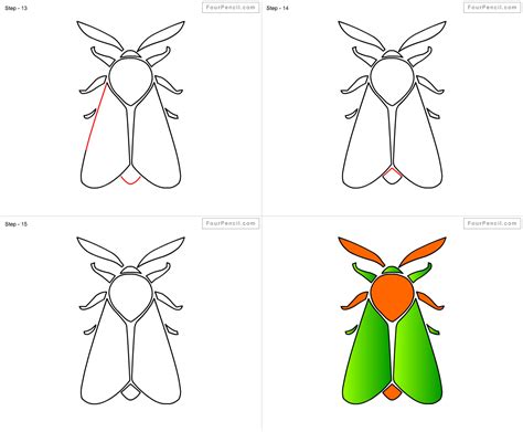 How to Draw a Moth Step by Step - Ford Ingthere