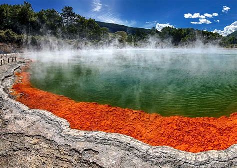 8 Surprising Facts About Lake Rotorua - Facts.net