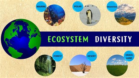 8 Astonishing Facts About Ecosystem Diversity - Facts.net