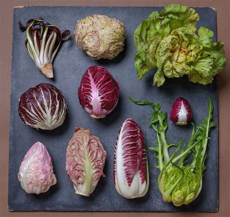 If You’ve Never Tried Growing Radicchio, Now Is the Time - The New York ...